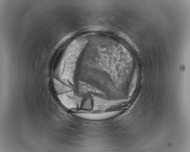 X0000096191213200802151456