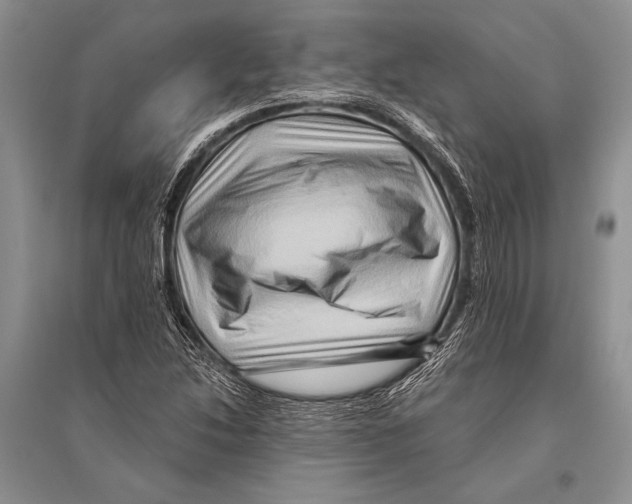 X0000096191214200802151456