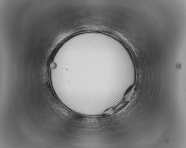 X0000096191215200802151456