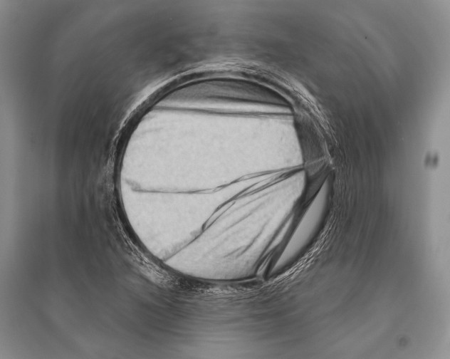 X0000096191216200802151456