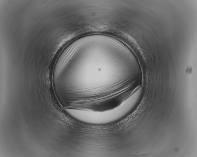 X0000096191218200802151456