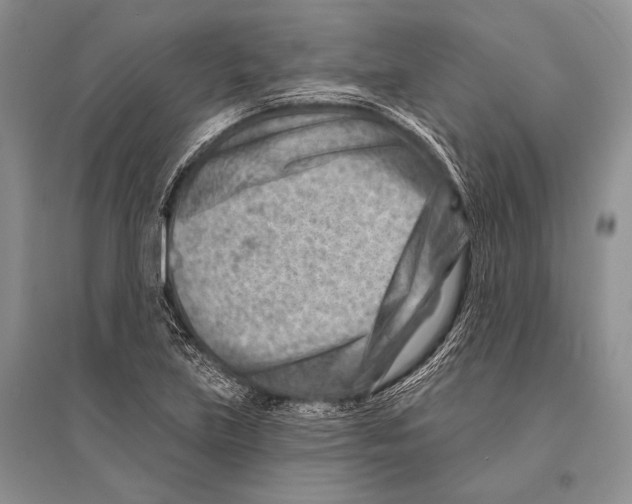 X0000096191219200802151456