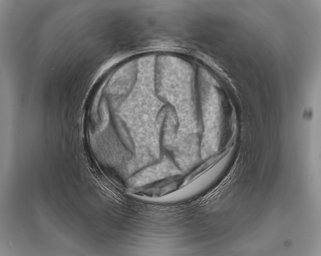 X0000096191222200802151456