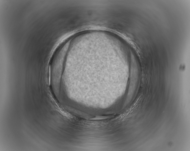 X0000096191223200802151456