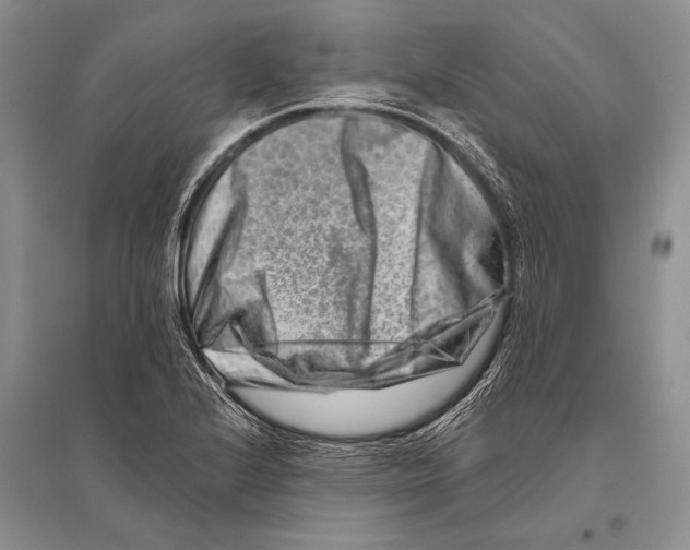 X0000096191224200802151456