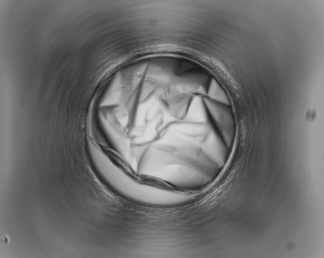 X0000096191225200802151456