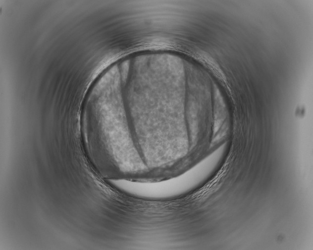 X0000096191226200802151456