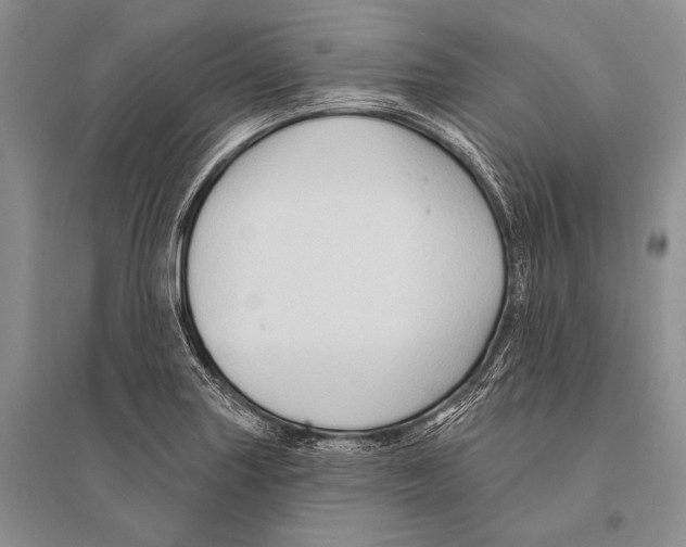 X0000096191227200802151456