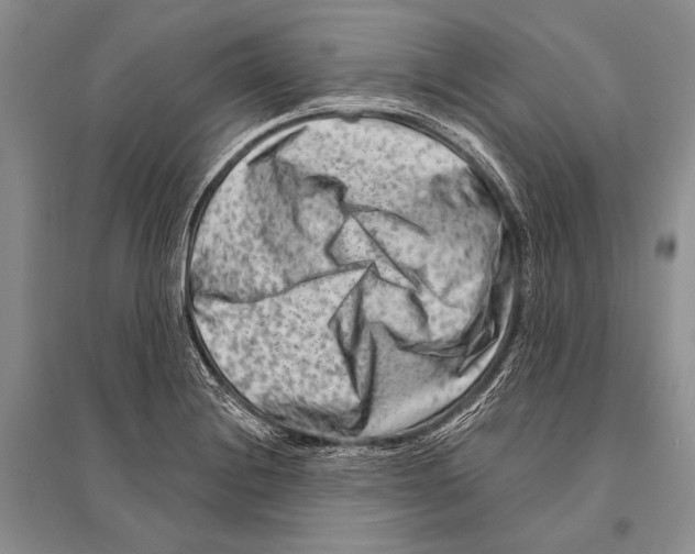 X0000096191228200802151456