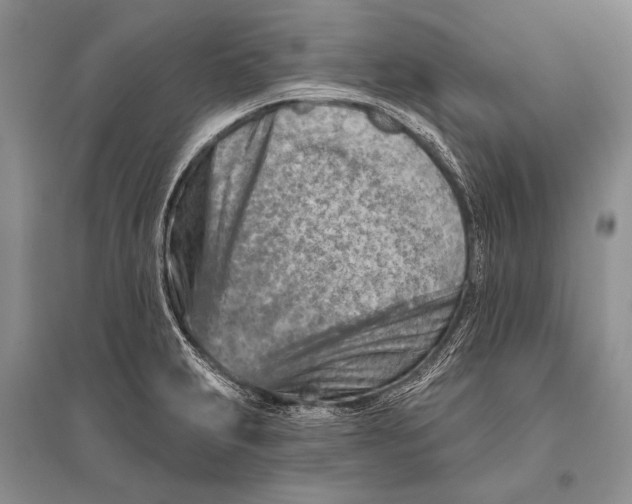 X0000096191231200802151456