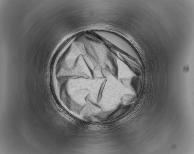 X0000096191232200802151456