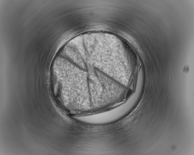 X0000096191234200802151456