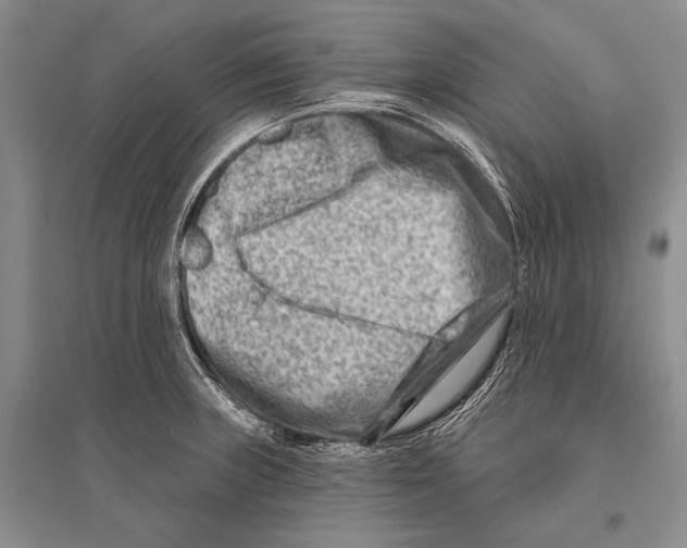 X0000096191235200802151456