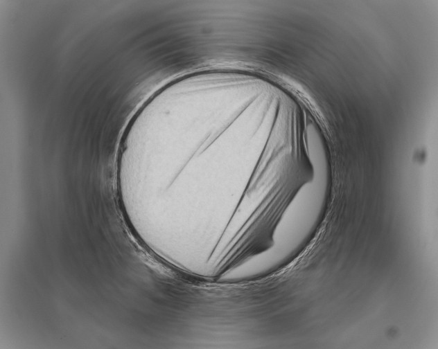 X0000096191236200802151456