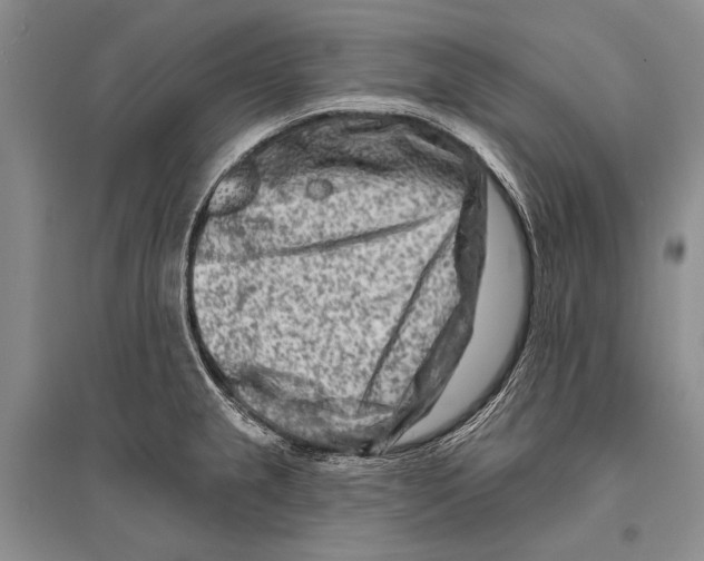 X0000096191237200802151456