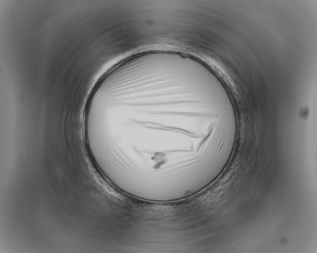 X0000096191238200802151456