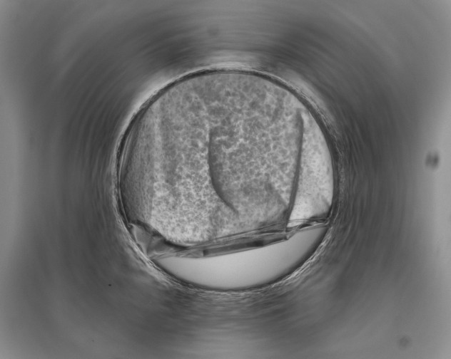 X0000096191240200802151456