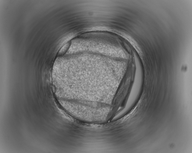 X0000096191241200802151456