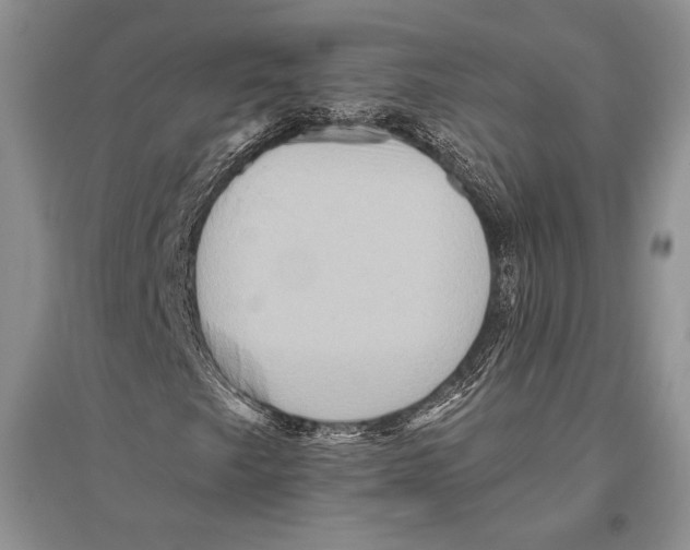 X0000096191249200802151455