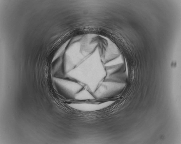 X0000096191250200802151455