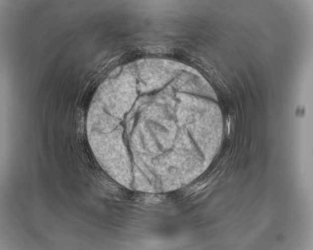 X0000096191251200802151455