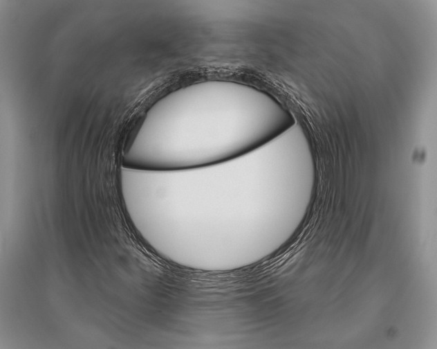 X0000096191252200802151455