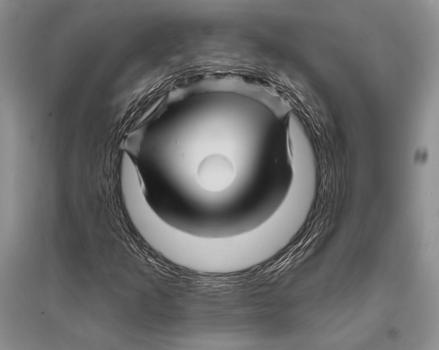 X0000096191253200802151455