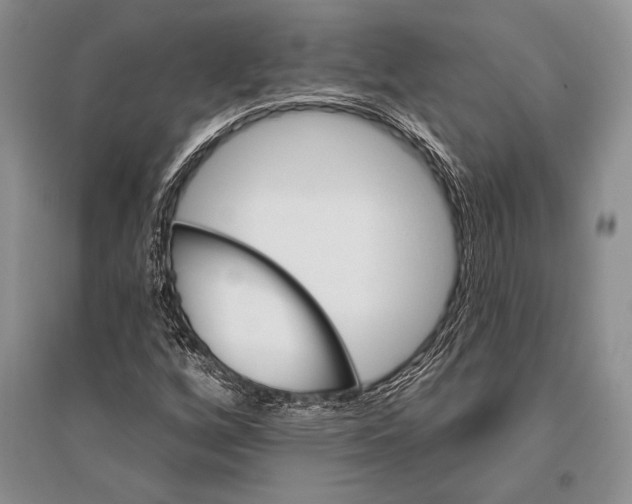 X0000096191256200802151455