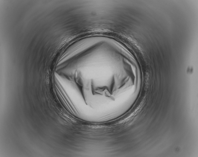 X0000096191257200802151455