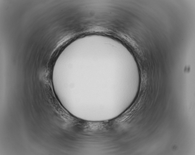 X0000096191258200802151455