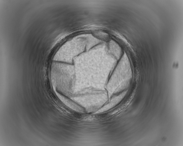 X0000096191259200802151455