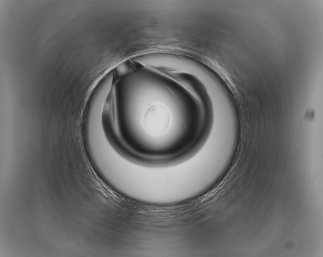 X0000096191260200802151455