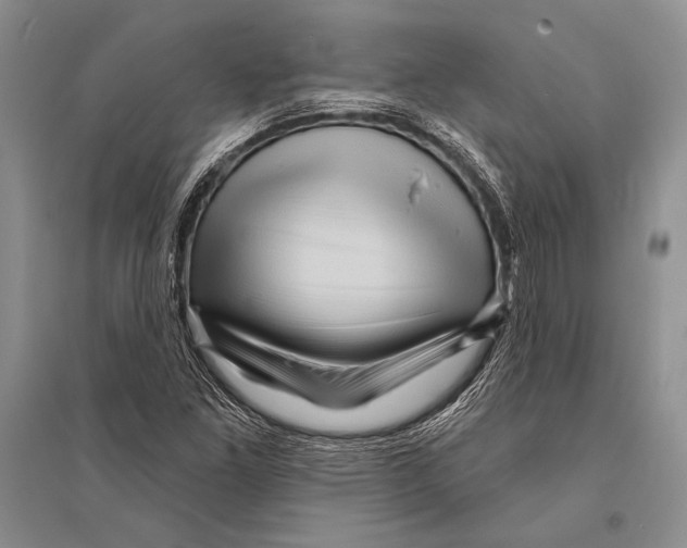 X0000096191261200802151455