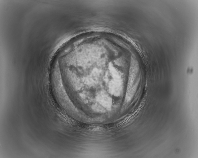 X0000096191263200802151455