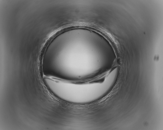 X0000096191264200802151455