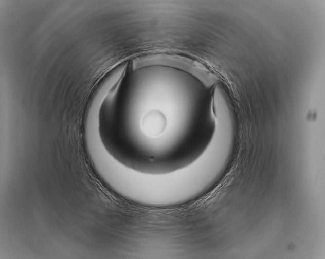 X0000096191265200802151455