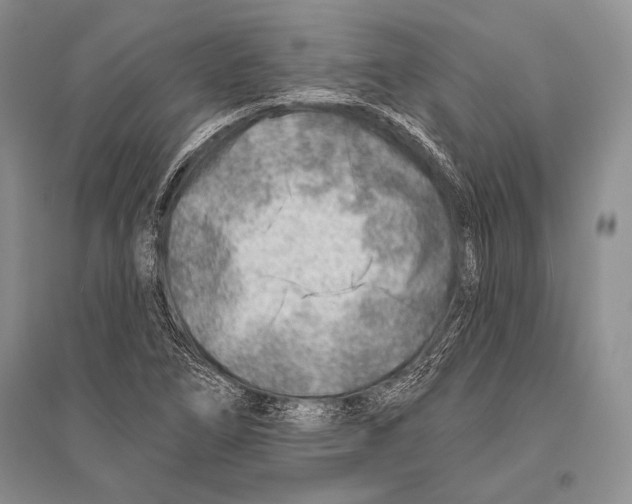 X0000096191266200802151455