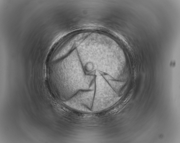 X0000096191267200802151455