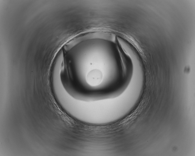 X0000096191268200802151455