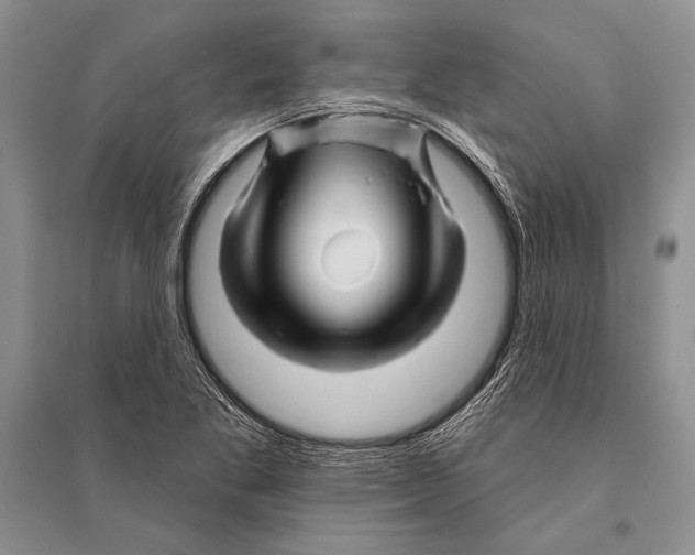 X0000096191269200802151455