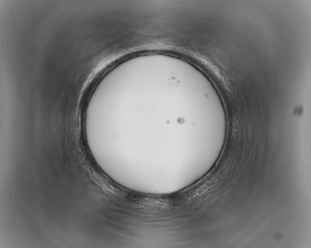 X0000096191270200802151455