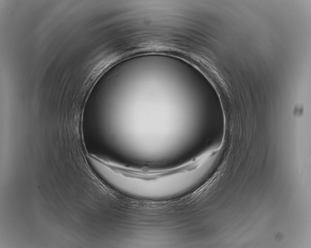 X0000096191273200802151455