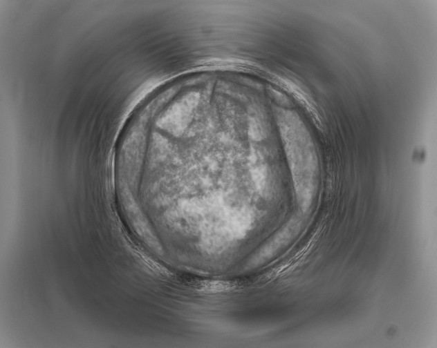 X0000096191275200802151455