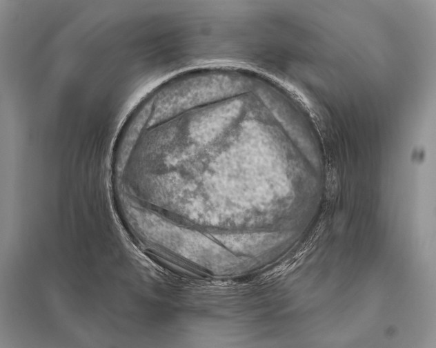 X0000096191279200802151455