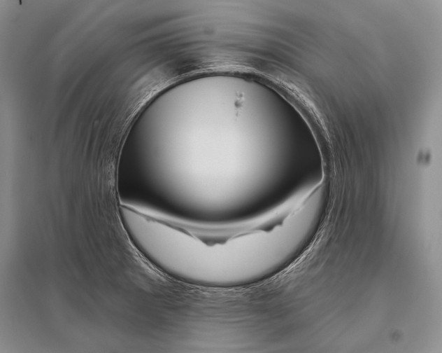 X0000096191281200802151455