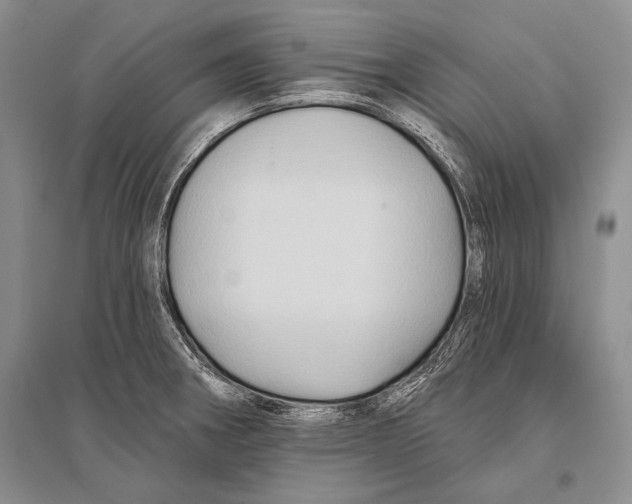 X0000096191282200802151455