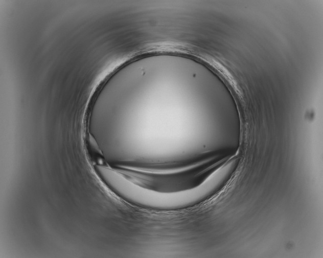 X0000096191285200802151455