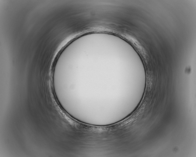 X0000096191286200802151455