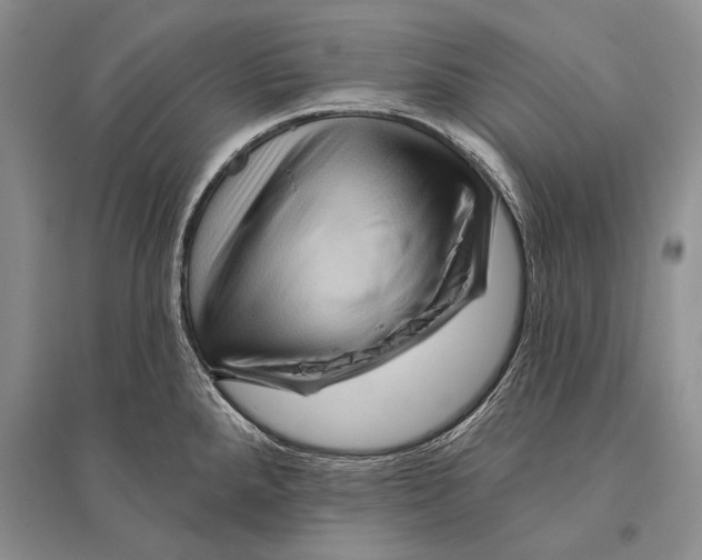 X0000096191288200802151455