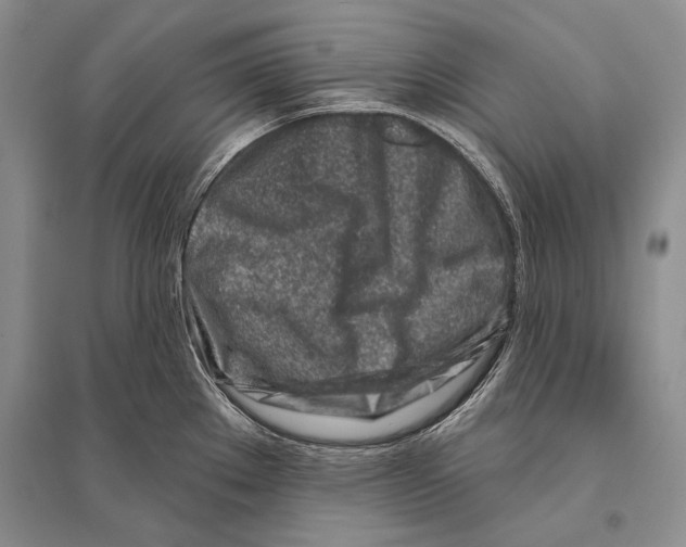 X0000096191289200802151455